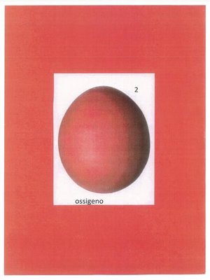 cover image of Ossigeno